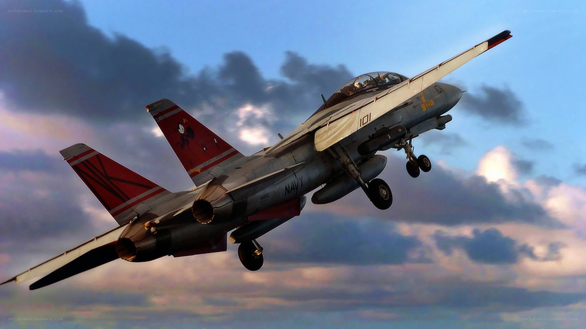 Navy jet in flight