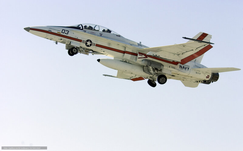 Navy Jet in Flight — White, Dynamic, Afternoon