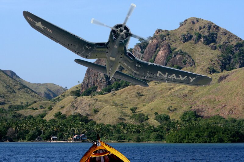 Navy Plane Flying Low