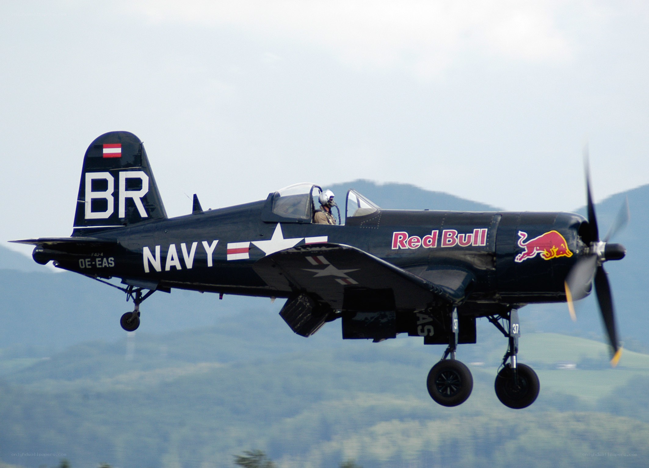 Navy plane with Red Bull livery