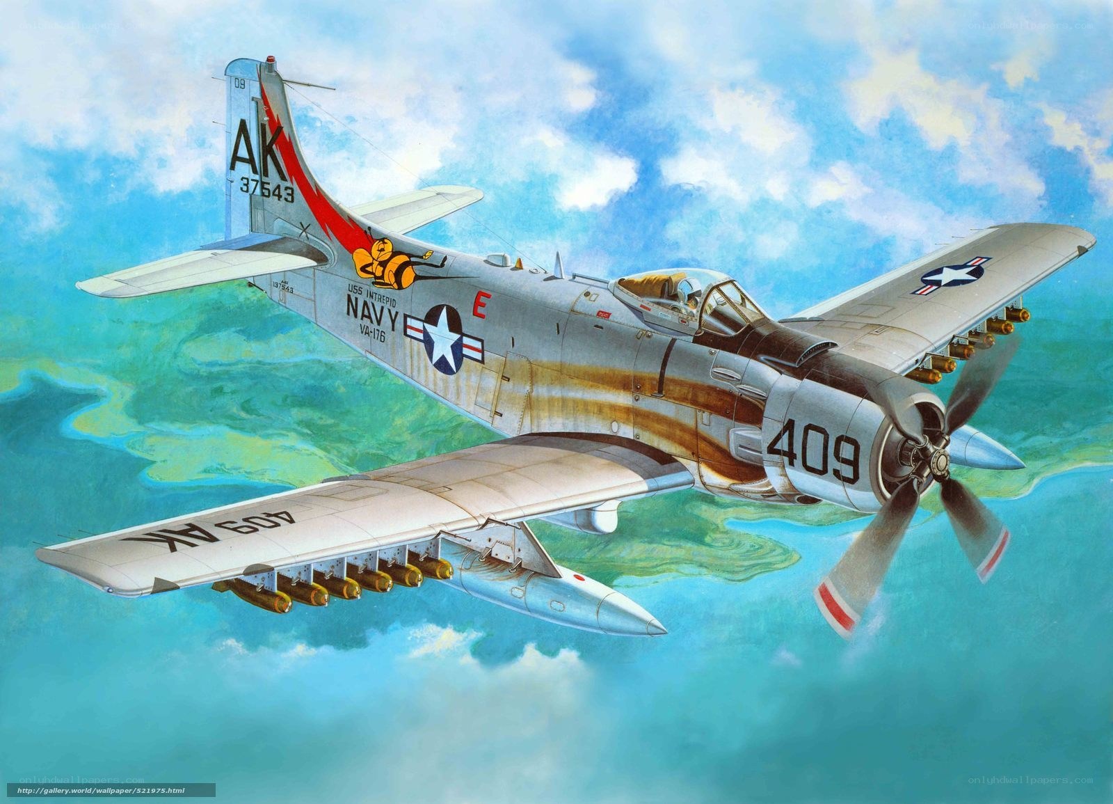 Navy propeller plane in flight