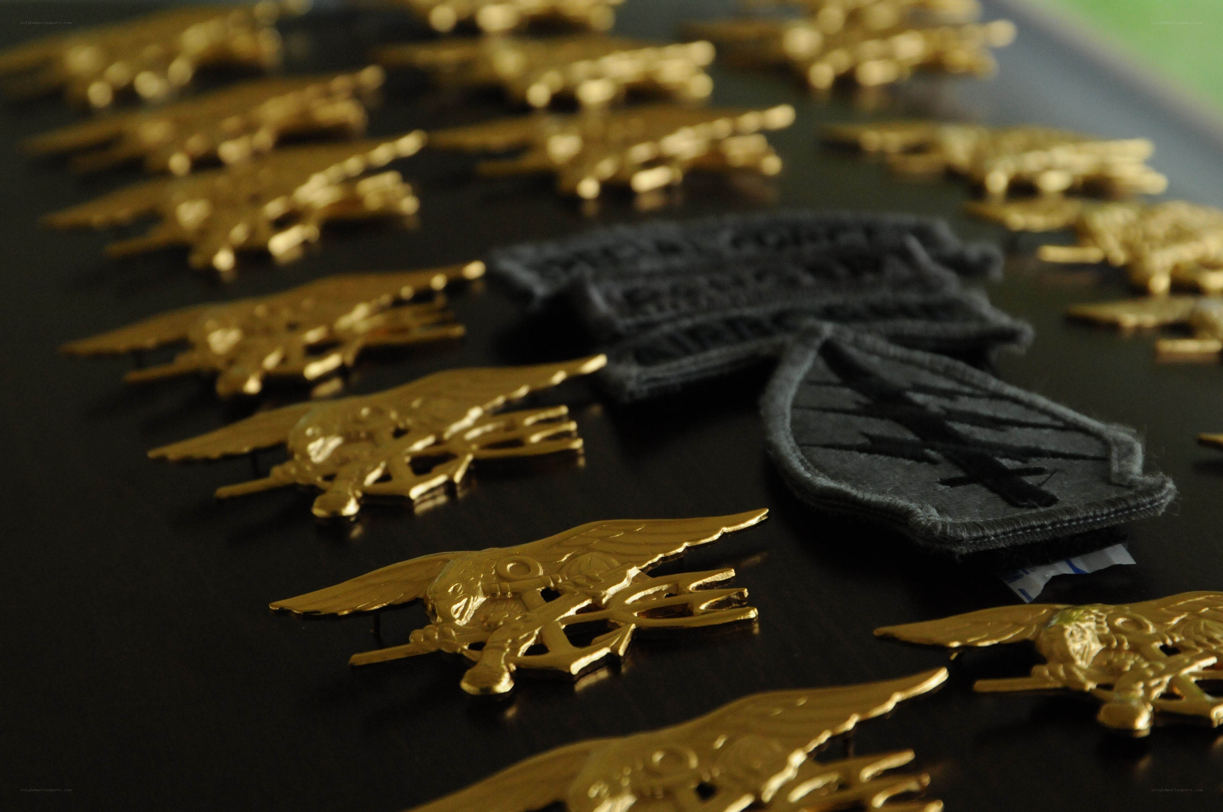 Navy SEAL insignia collection