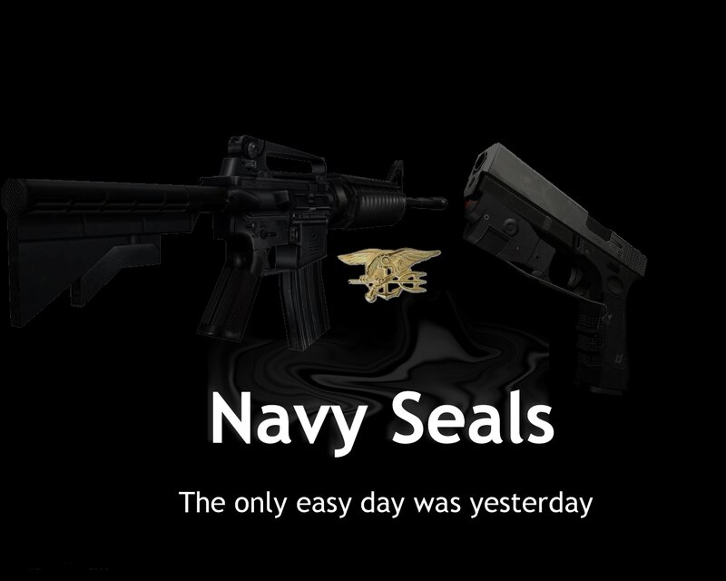 Navy Seals Insignia