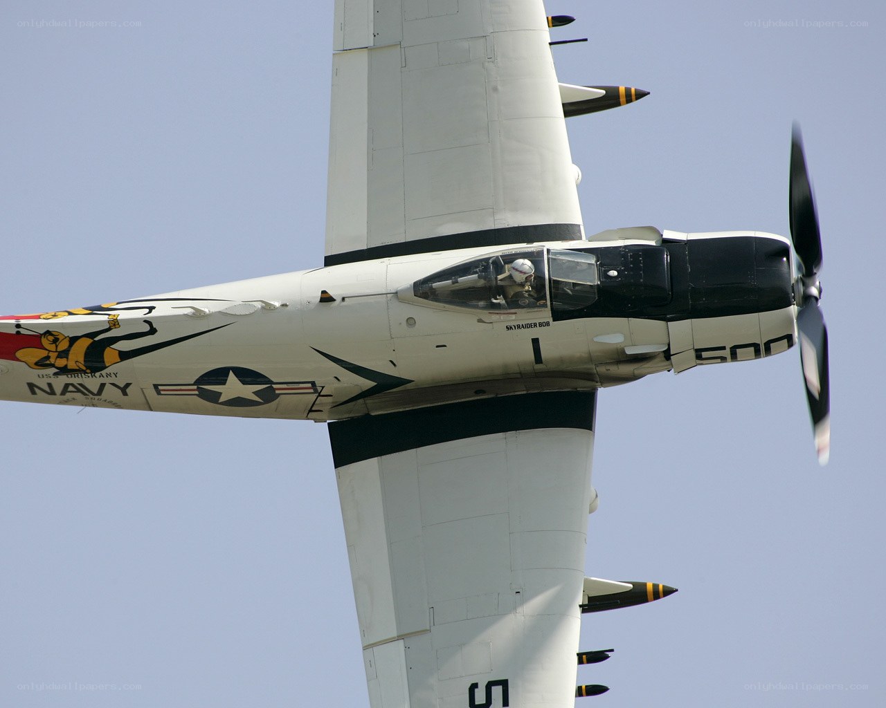 Navy Skyraider in flight
