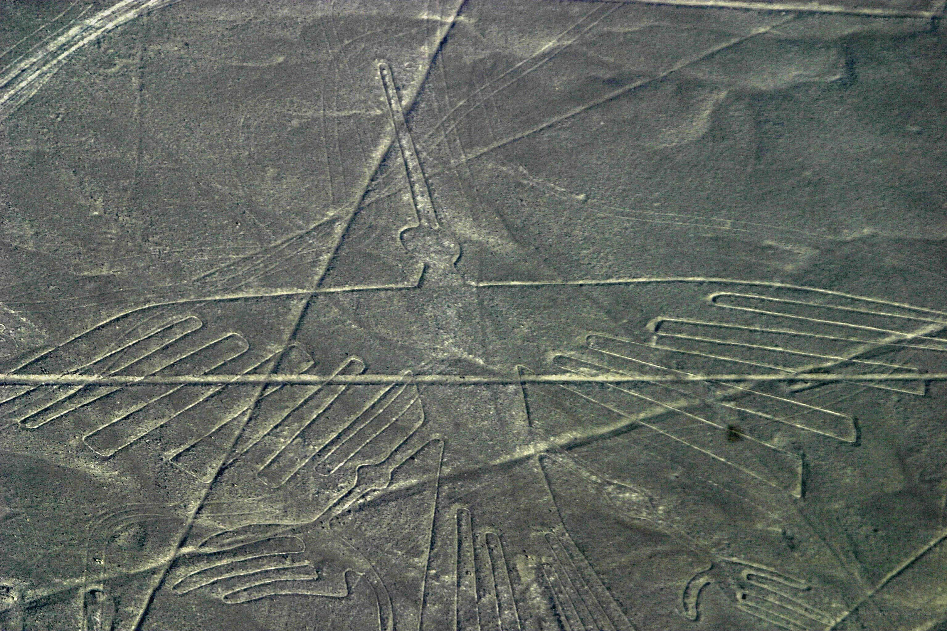 Nazca Lines bird figure