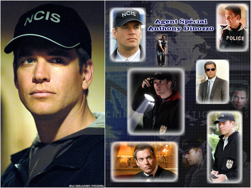NCIS Agent Anthony DiNozzo collage