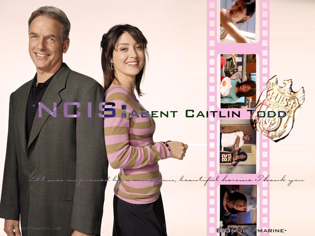 NCIS: Agent Caitlin Todd