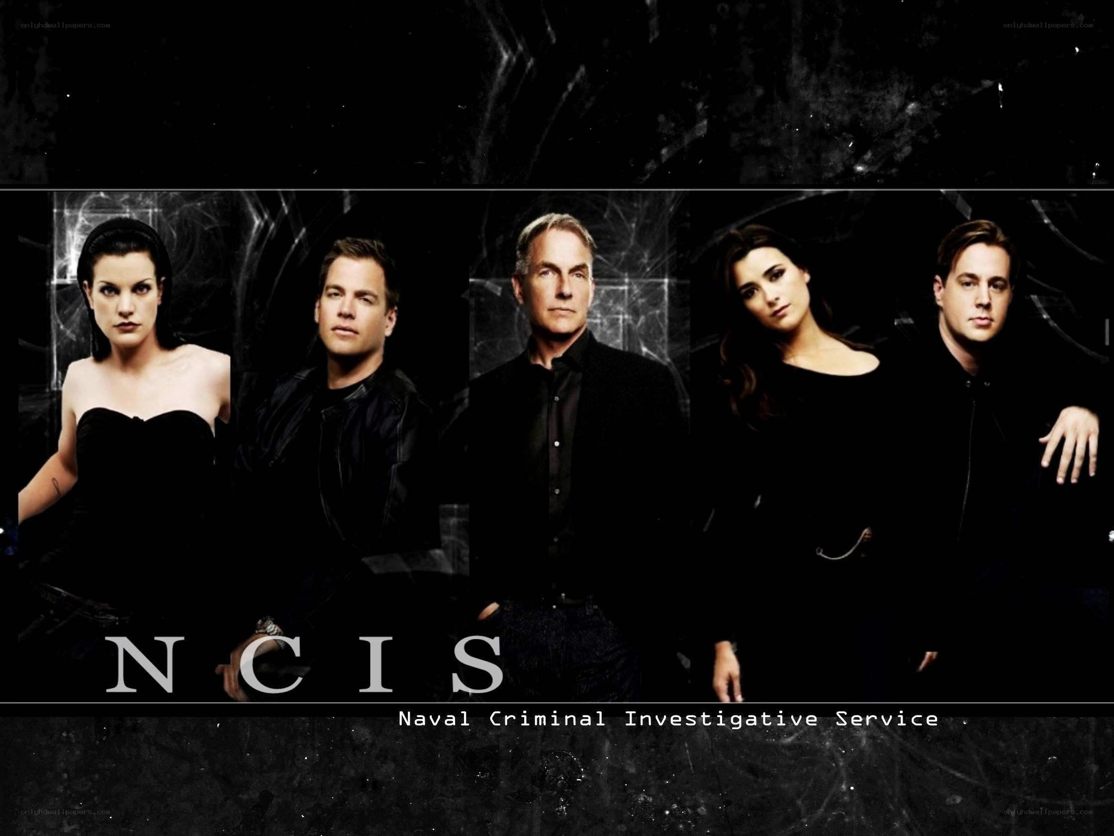 NCIS cast promotional image