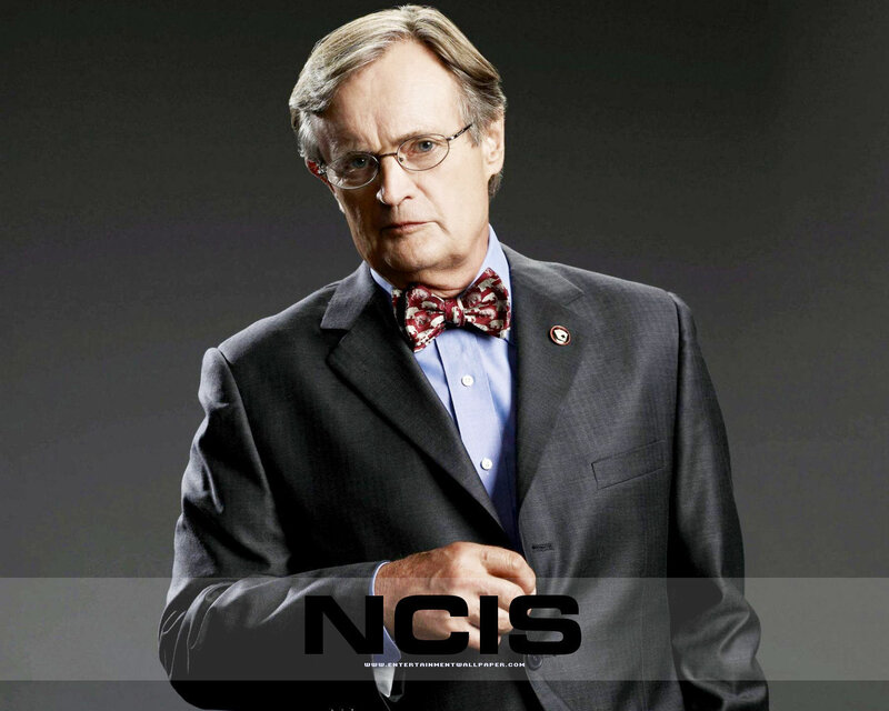 NCIS character portrait