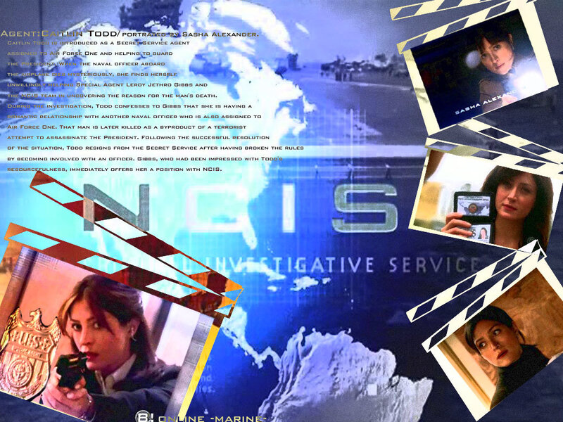 NCIS character profile: Caitlin Todd