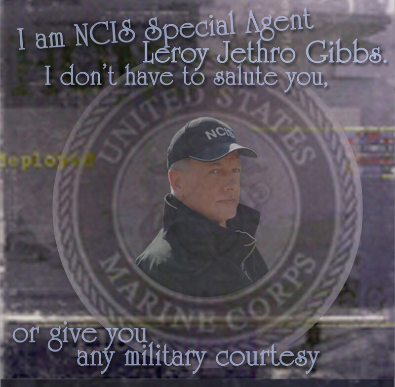 NCIS character quote image