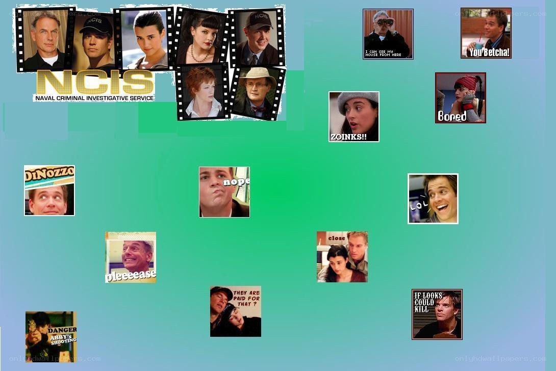 NCIS memes collage