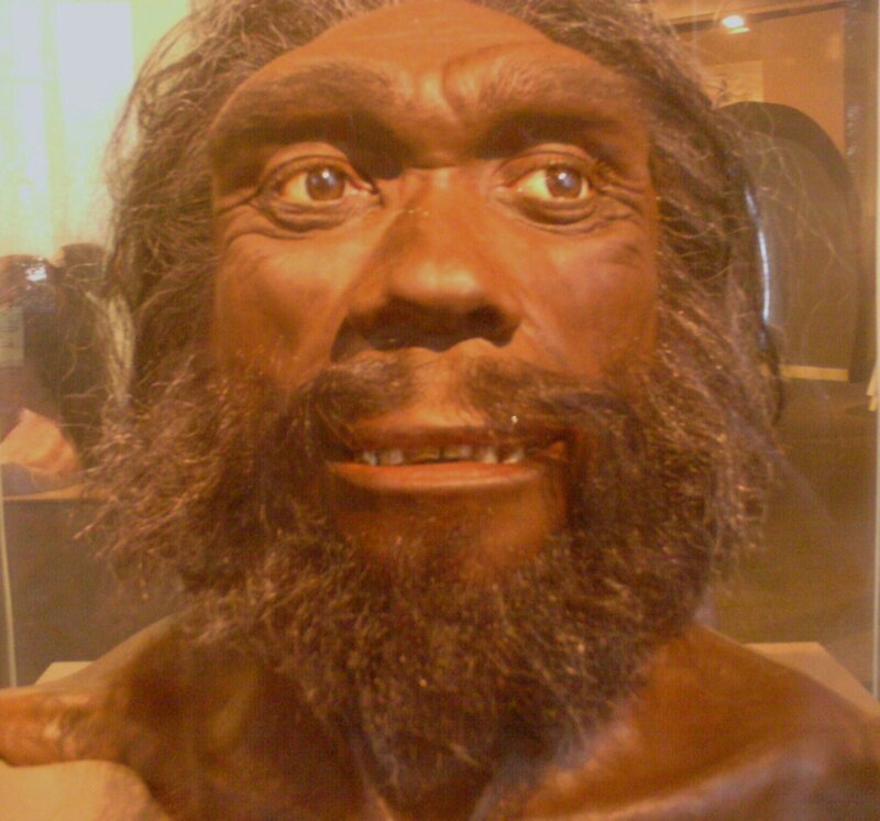 Neanderthal Reconstruction — Brown