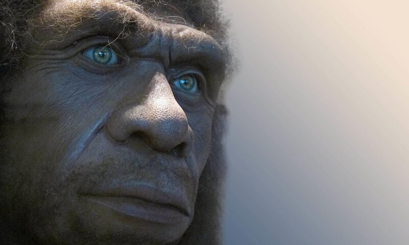 Neanderthal reconstruction