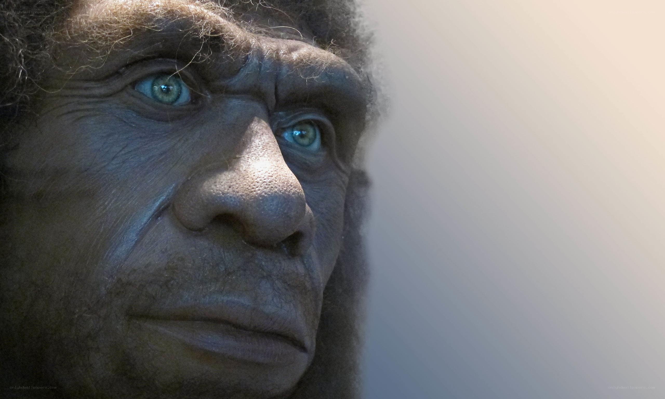 Neanderthal reconstruction
