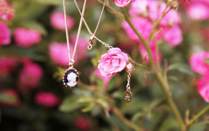 Necklaces on Pink Roses
