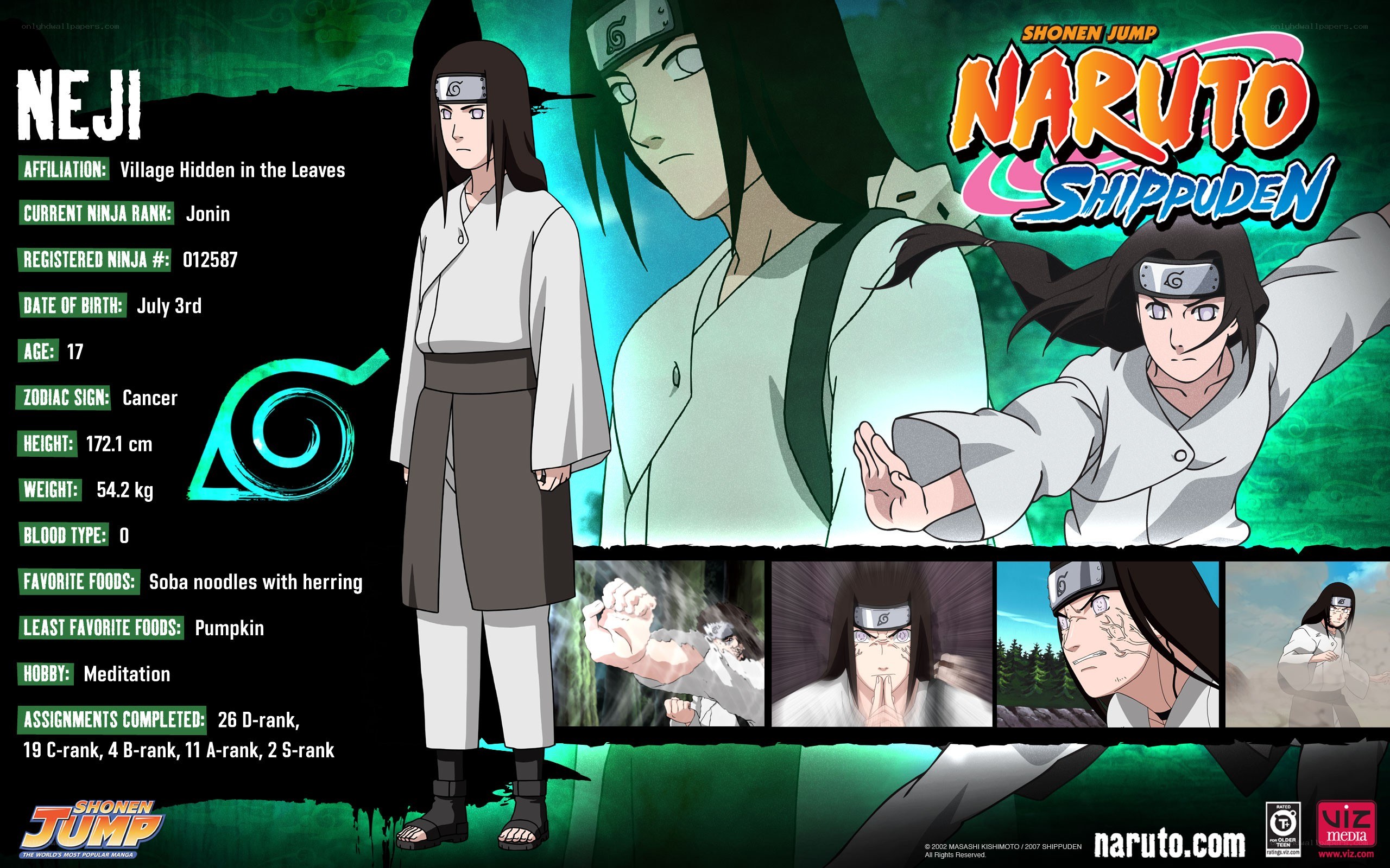 Neji Hyuga character profile