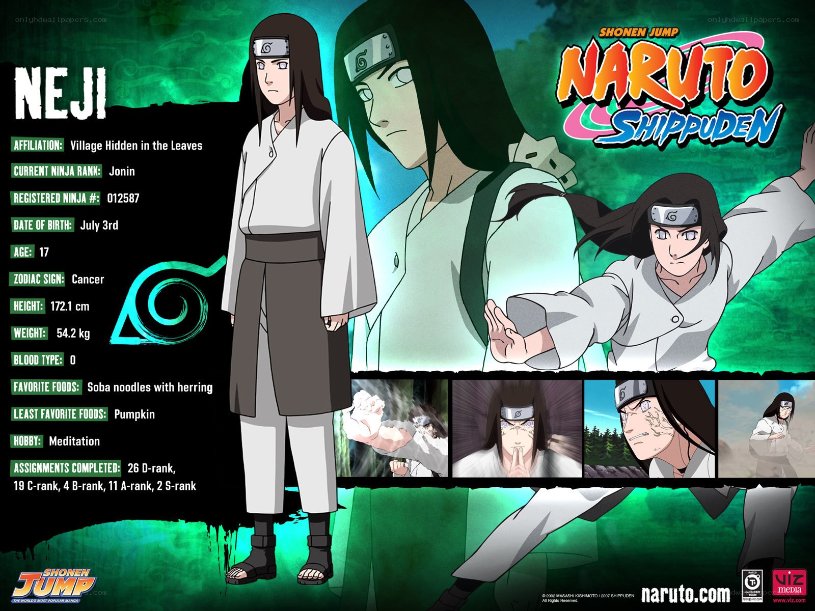 Neji Hyuga character profile