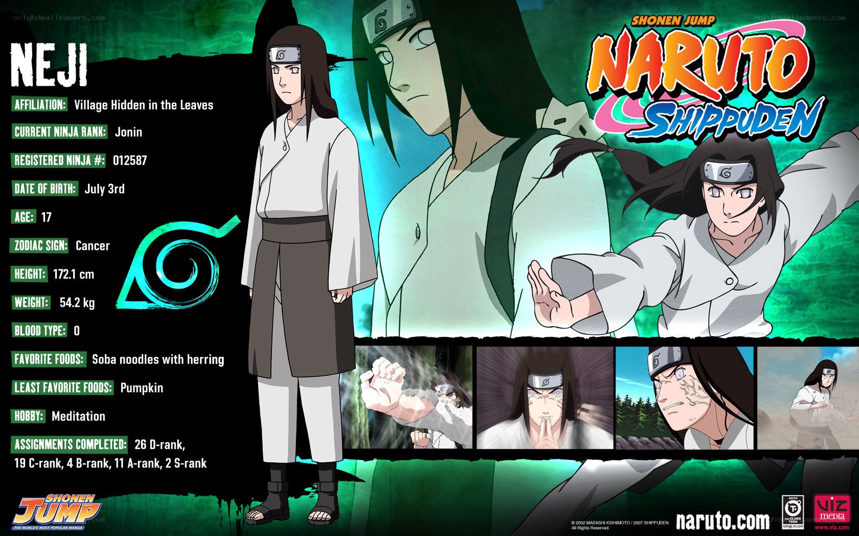 Neji Hyuga character profile