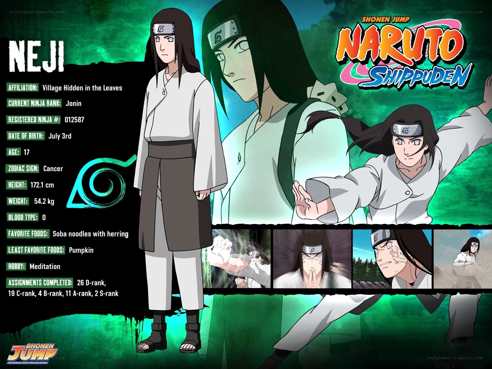 Neji Hyuga character profile