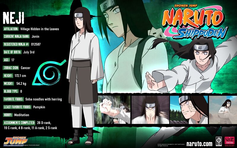 Neji Hyuga Character
