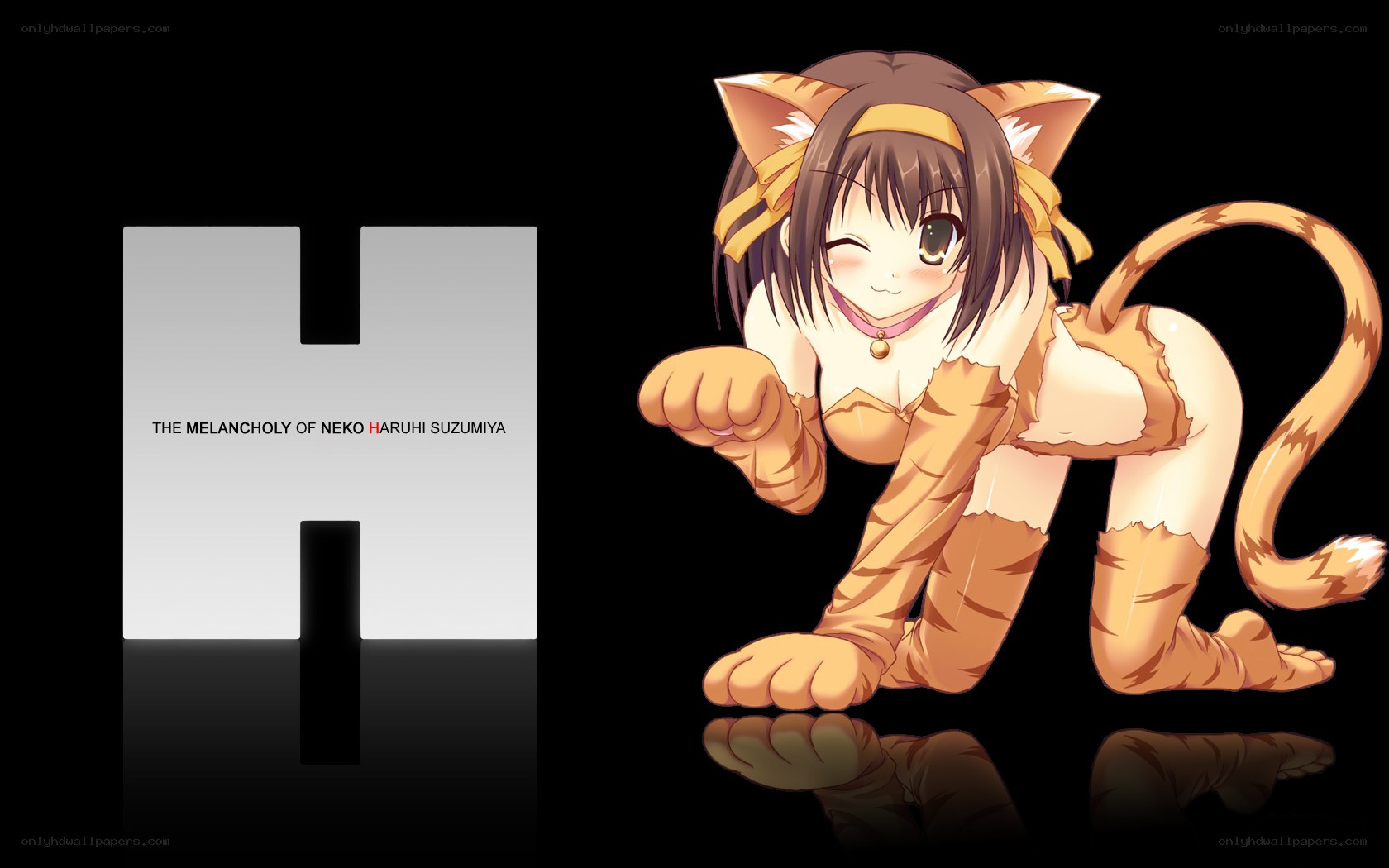Neko Suzumiya in cat form