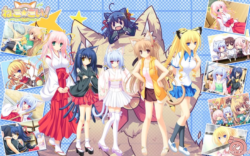 Nekokoi anime character collage
