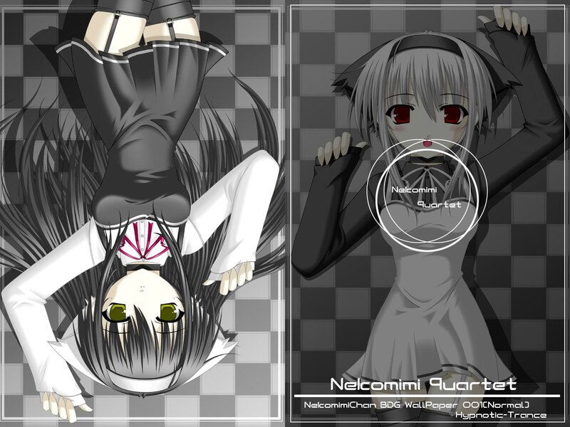 Nelcomimi Quartet anime wallpaper