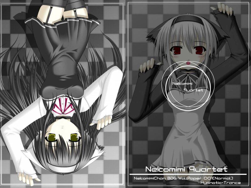 Nelcomimi Quartet artwork