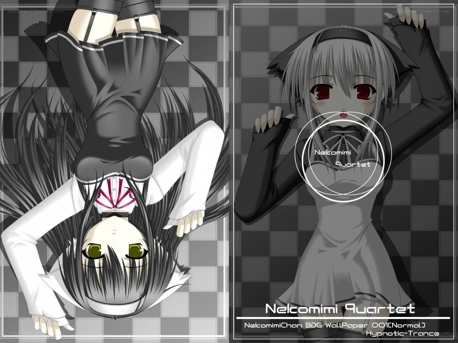 Nelcomimi Quartet artwork