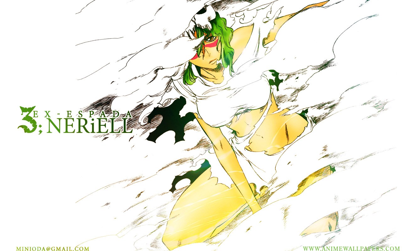 Nelliel in action