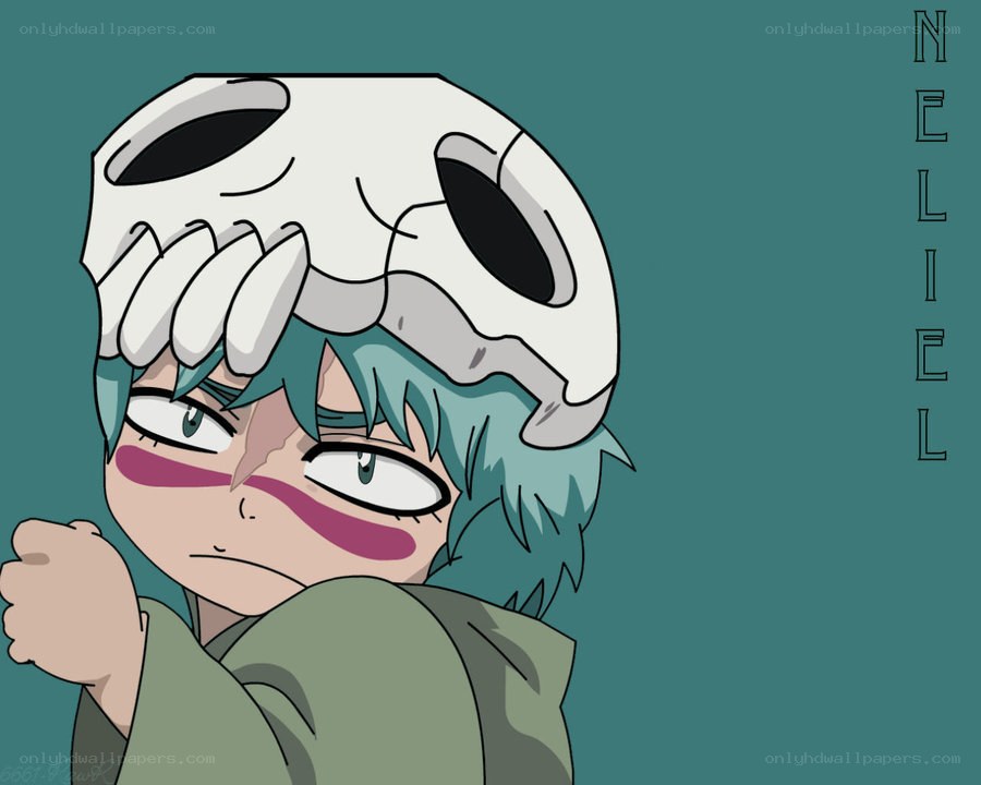 Nelliel with skull mask