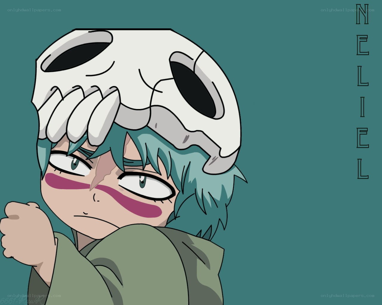 Nelliel with skull mask