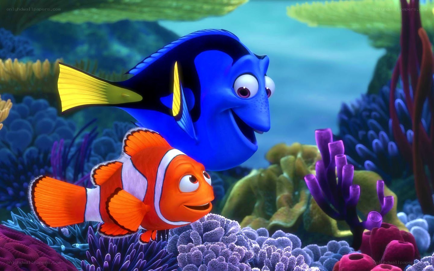 Nemo and Dory in coral reef
