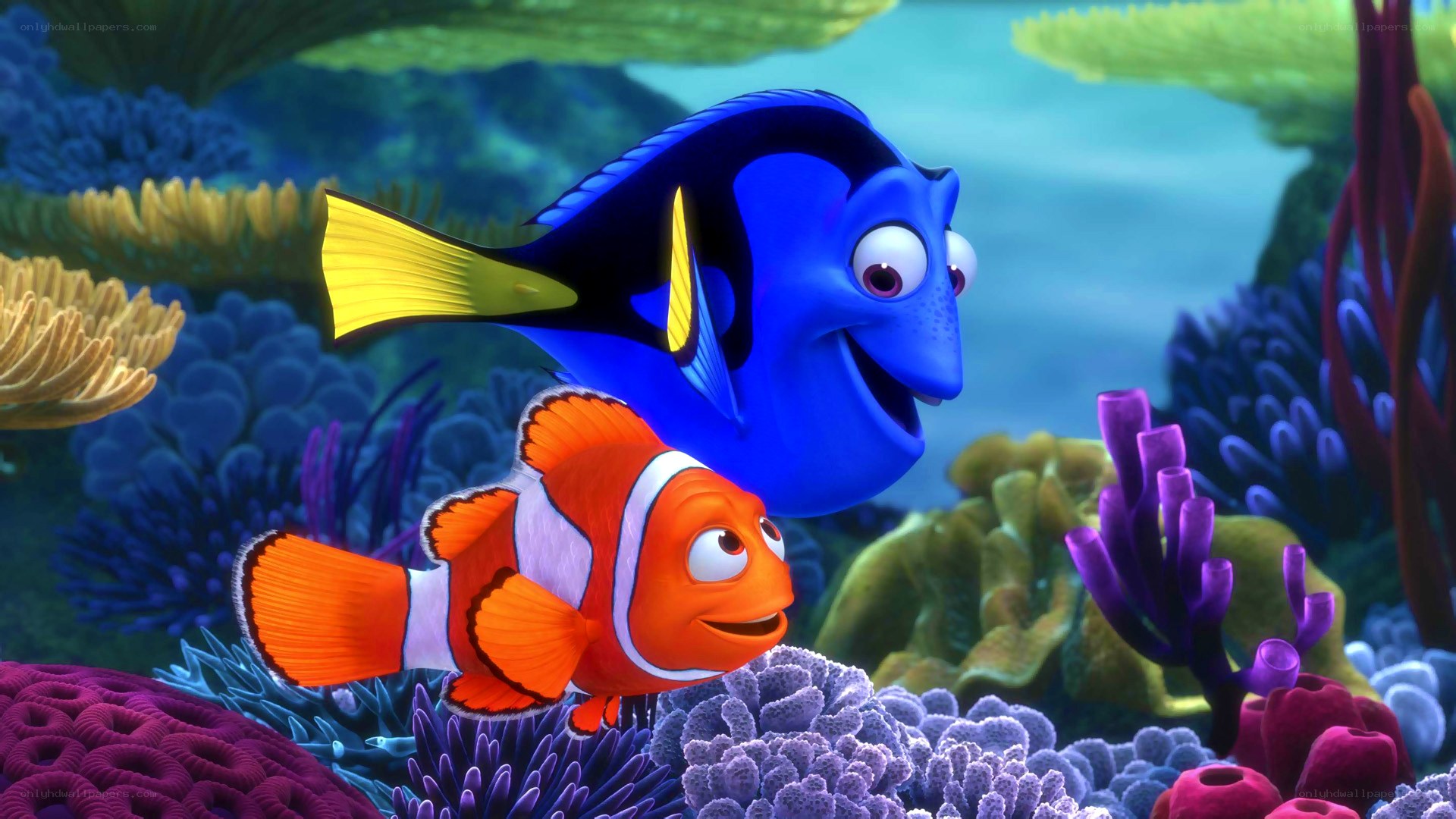 Nemo and Dory in coral reef