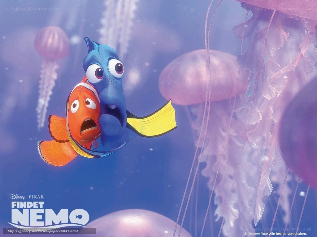 Nemo and Dory in jellyfish field
