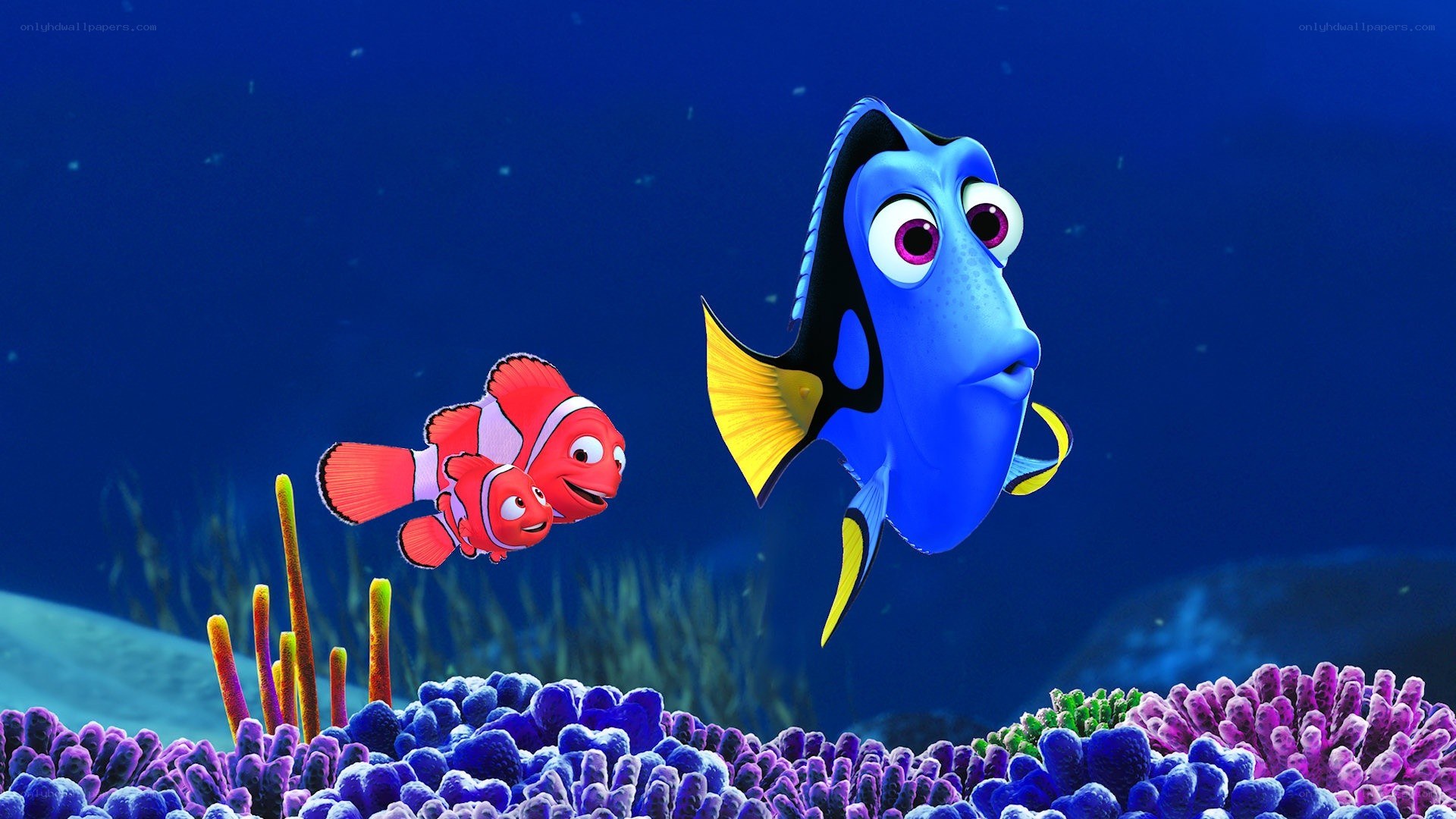 Nemo and Dory in the ocean