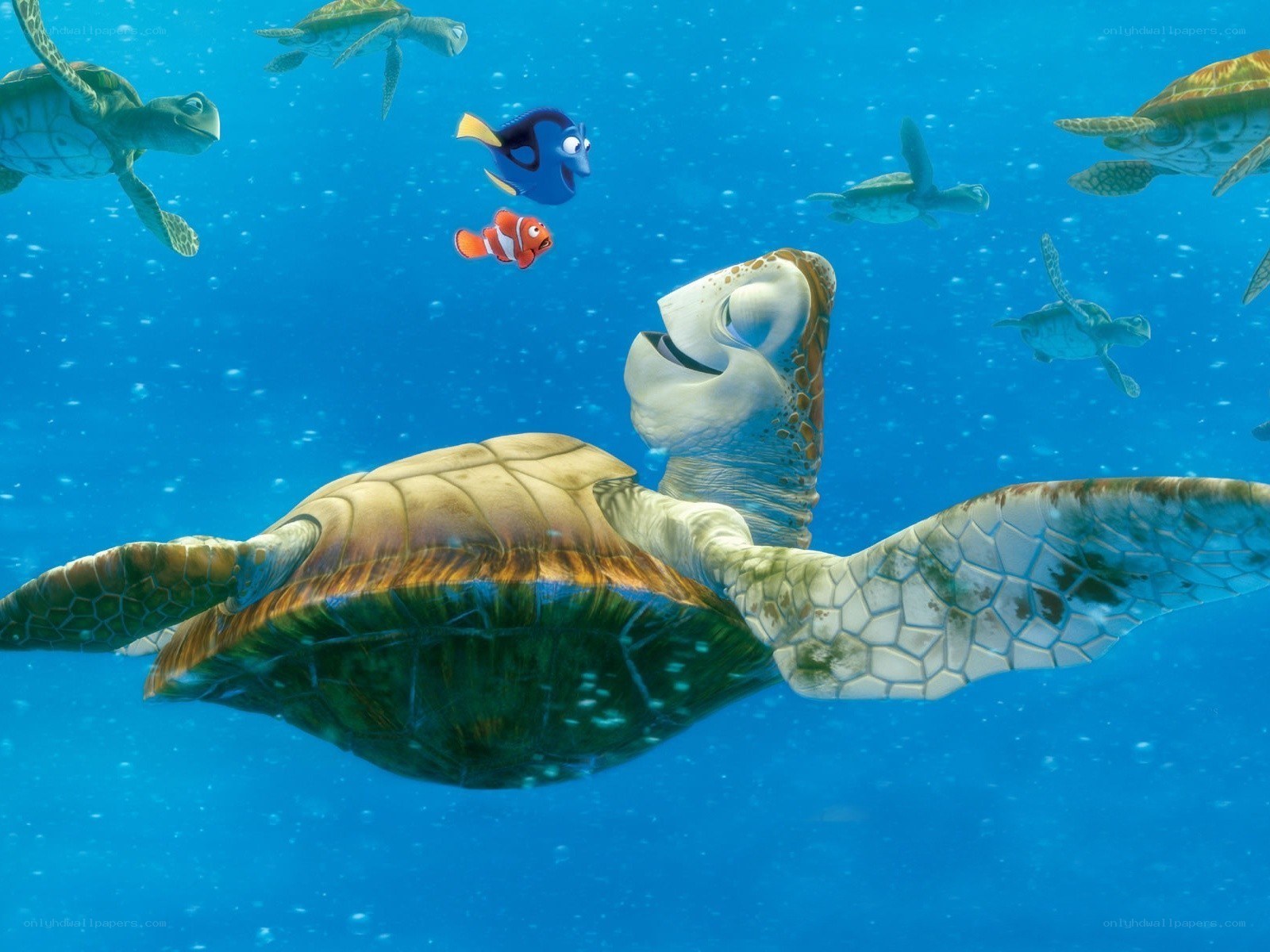 Nemo and Dory with sea turtles