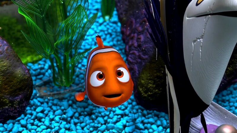 Nemo in aquarium