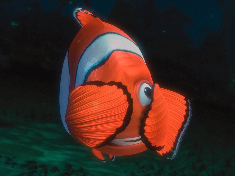 Nemo the clownfish