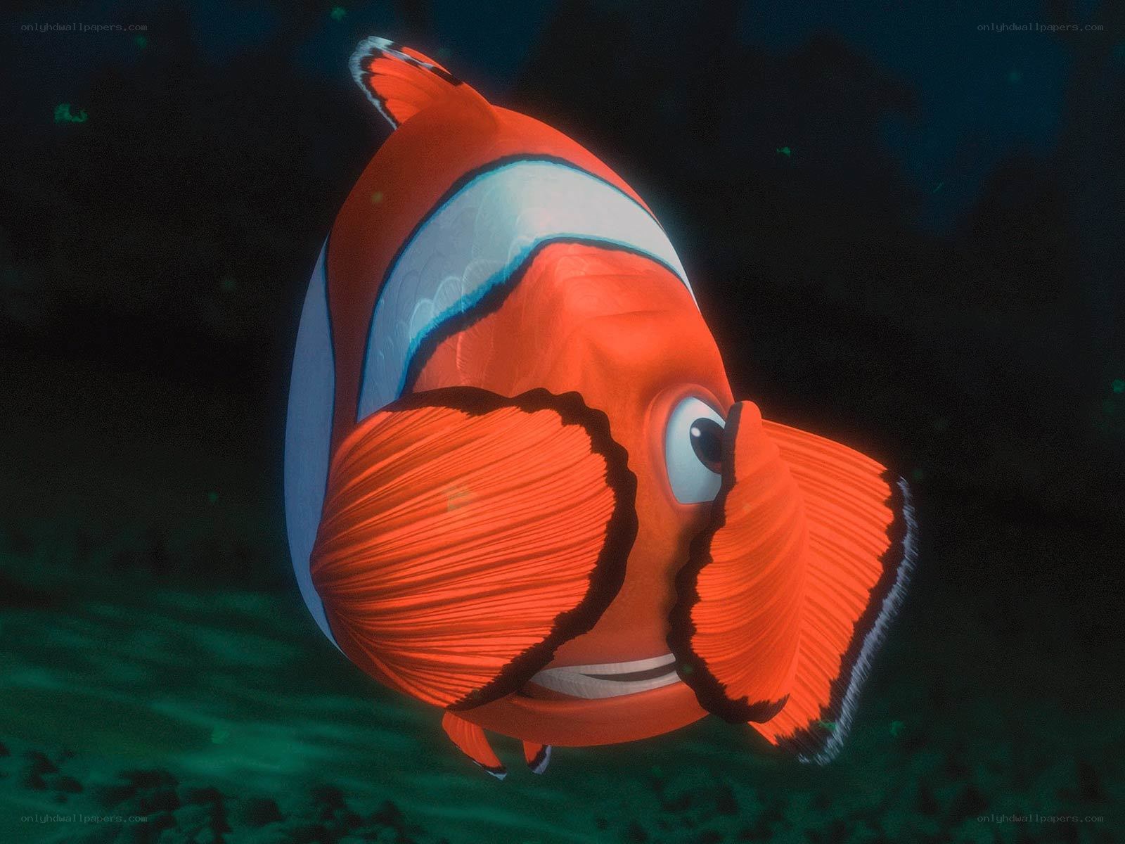 Nemo the clownfish