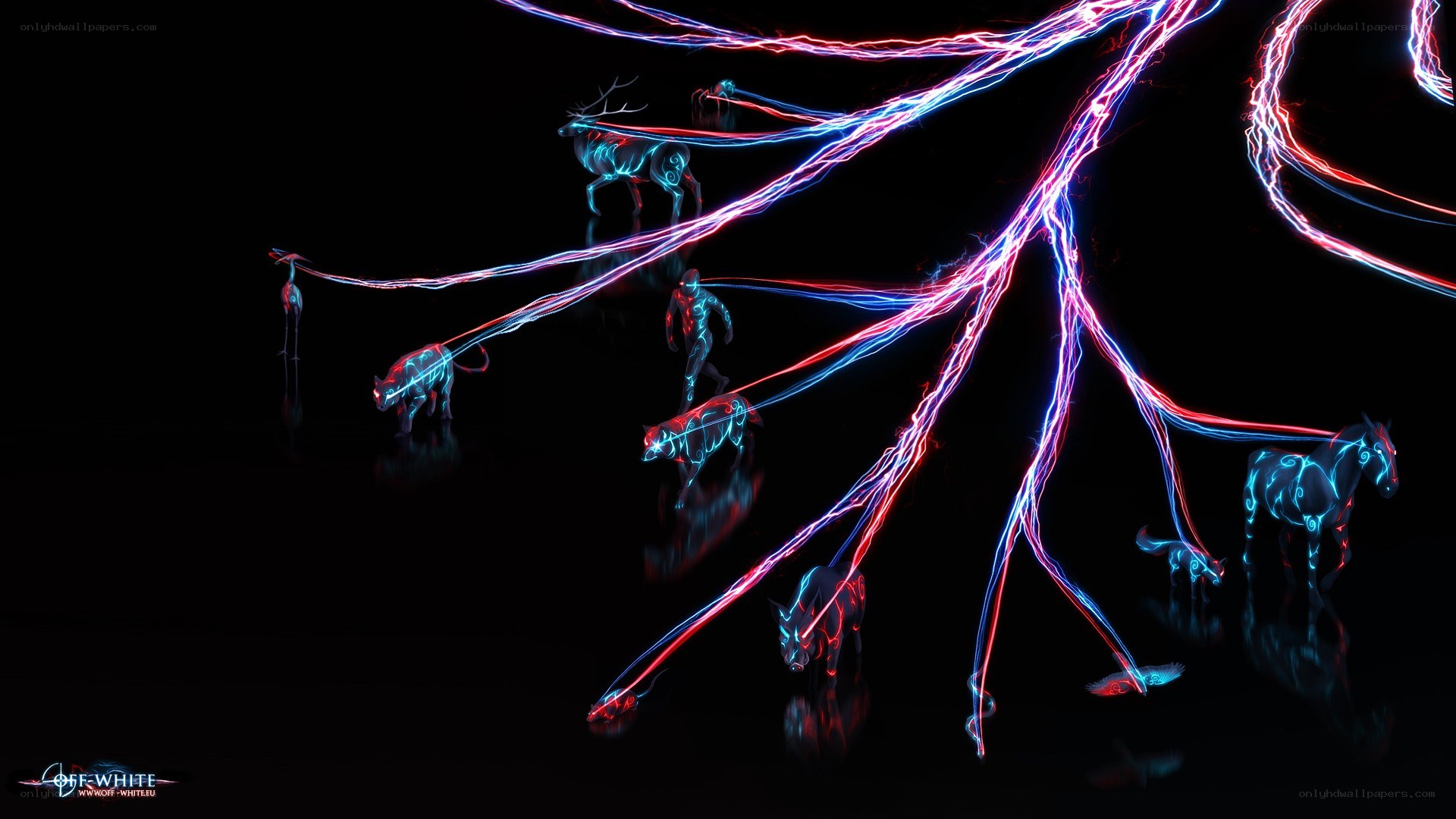 Neon animal energy network