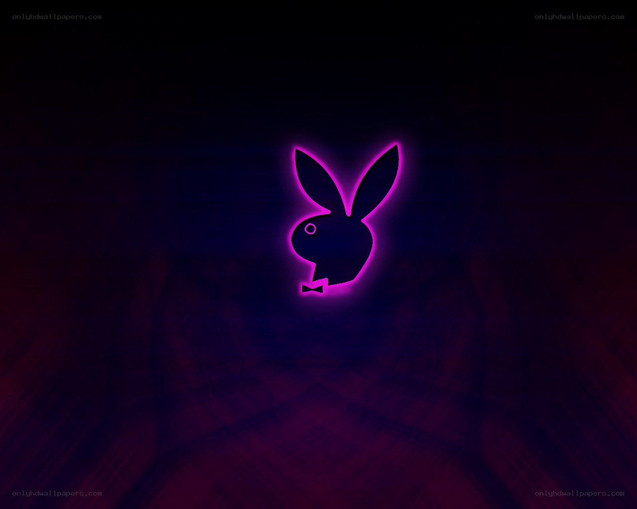 neon bunny logo on dark background