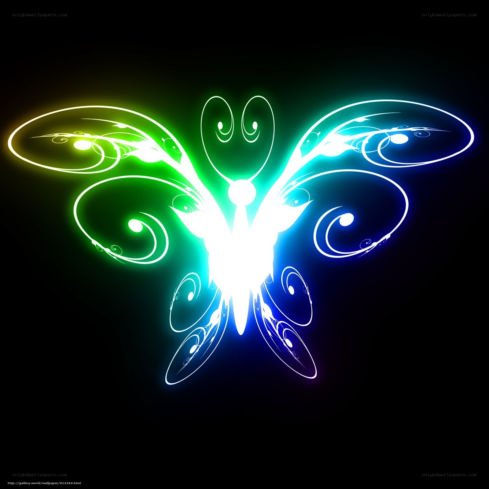 Neon butterfly design