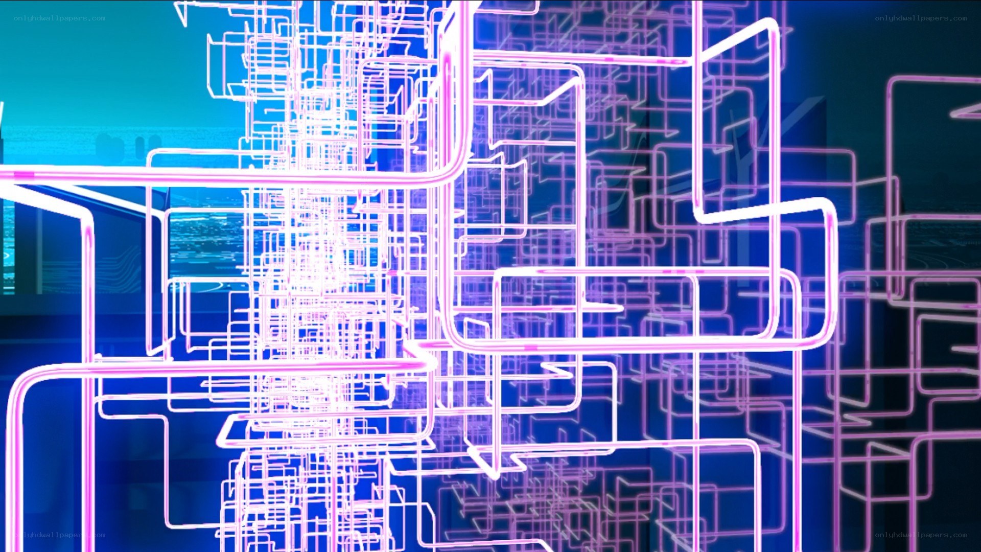 neon circuit network