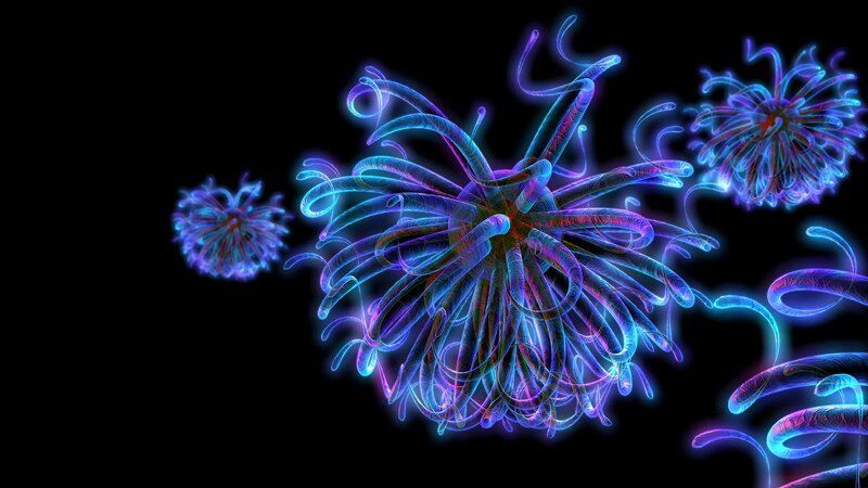 Neon coral polyps
