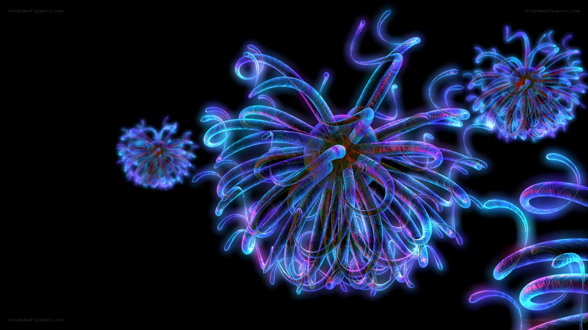 Neon coral polyps