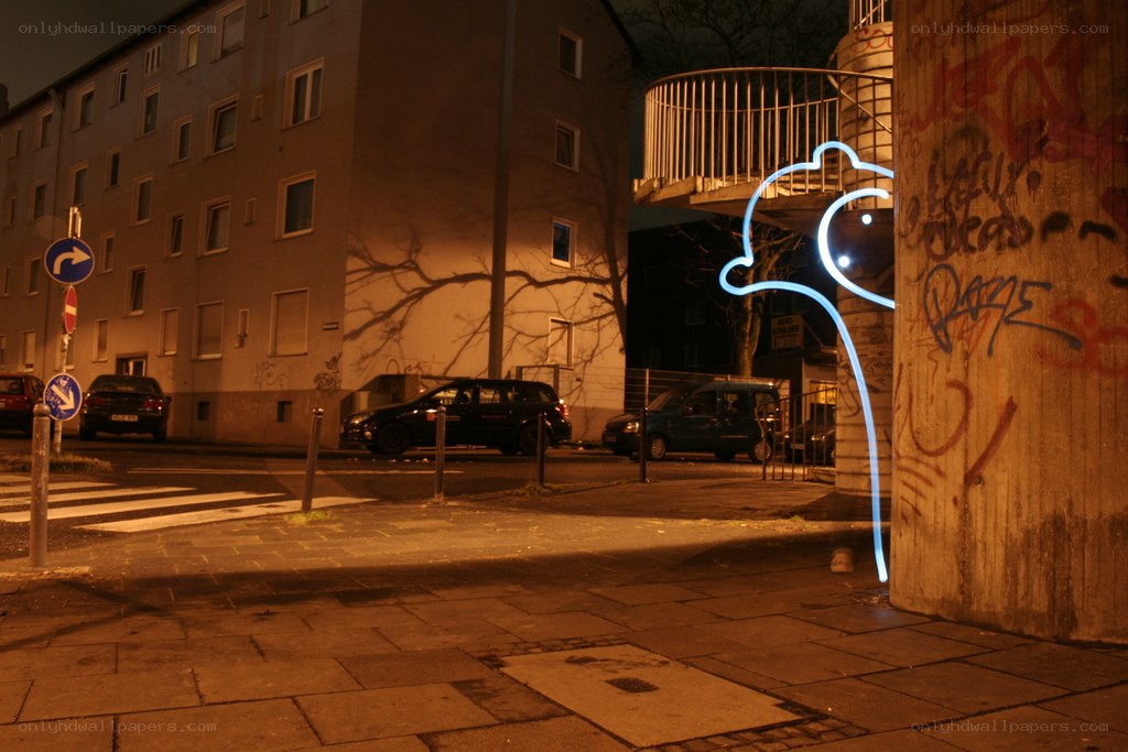 Neon dolphin on city street