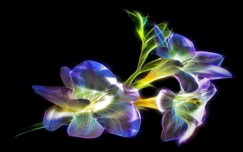 neon floral fractal art