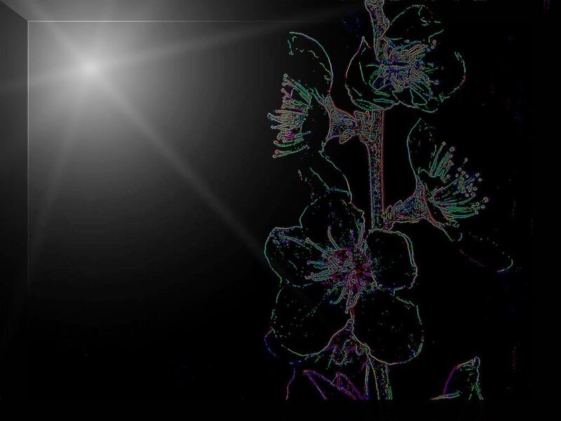 neon floral outline with light